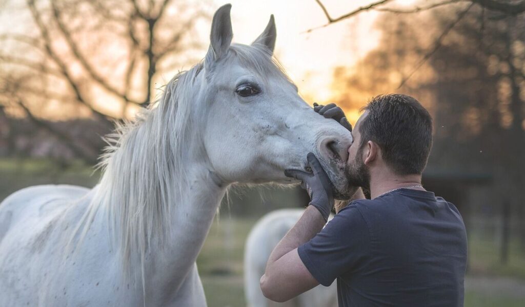 A man affectionately nuzzles a white horse's nose at sunset, creating a warm and tender moment in a tranquil outdoor setting.