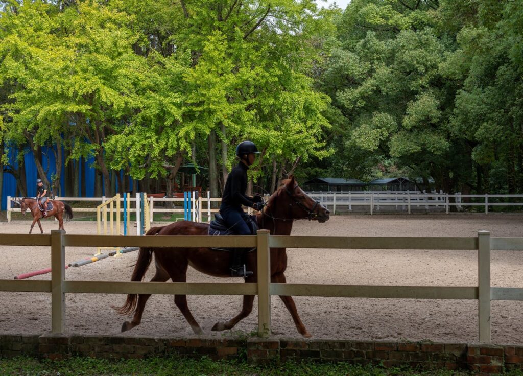 Rider trotting a chestnut horse in arena.