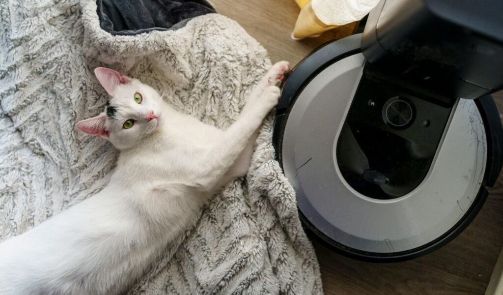 White cat lying on a blanket next to a robot vacuum.