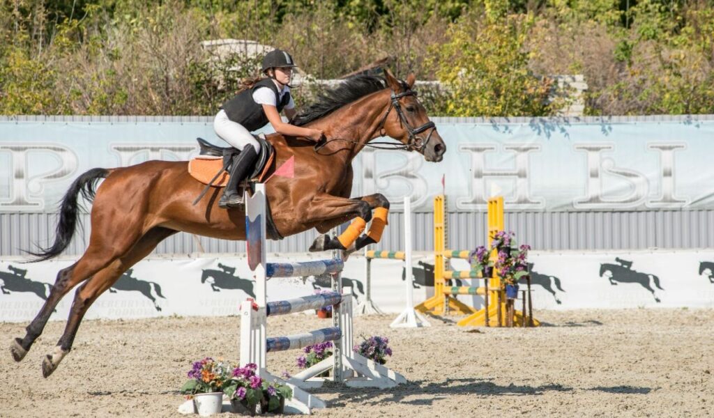 Rider jumping over obstacles on a horse.