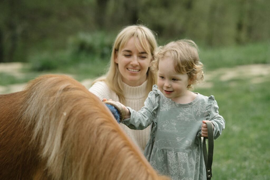 Horse Grooming Session
