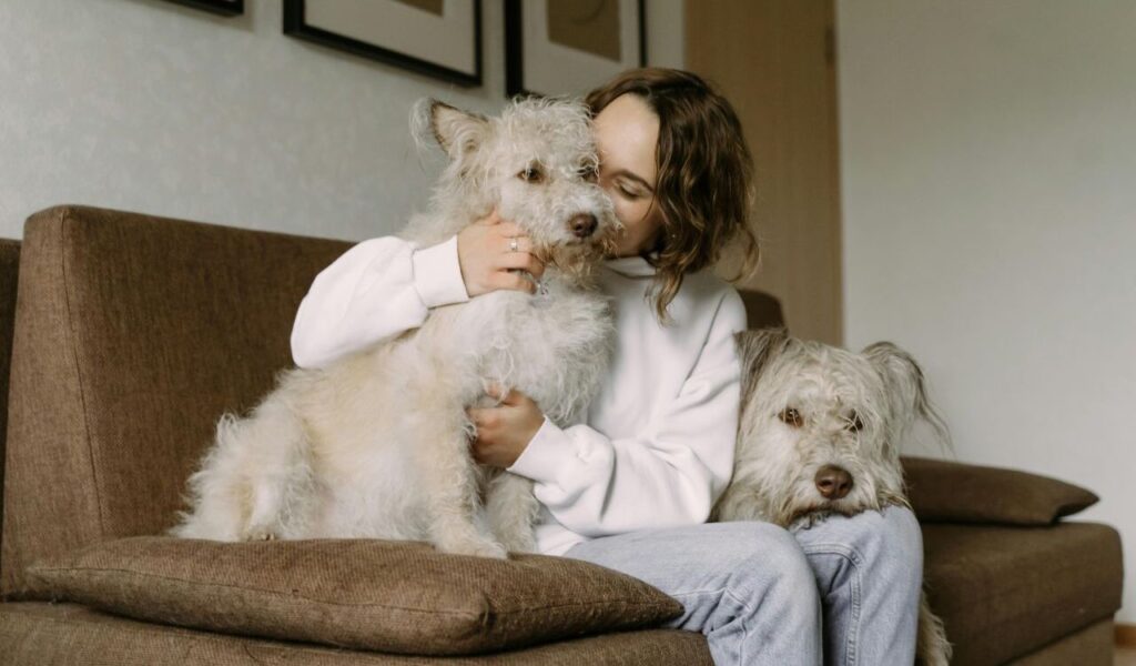 A woman sitting on a couch cuddling two fluffy cream-colored dogs.