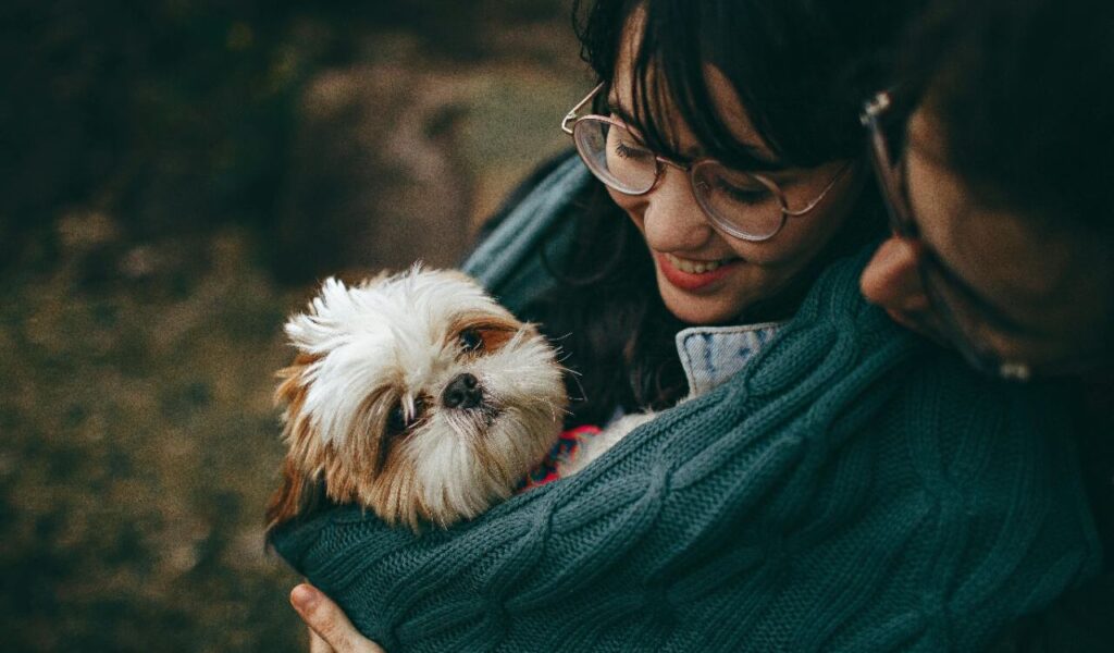 Two people cuddling a Shih Tzu wrapped in a sweater.