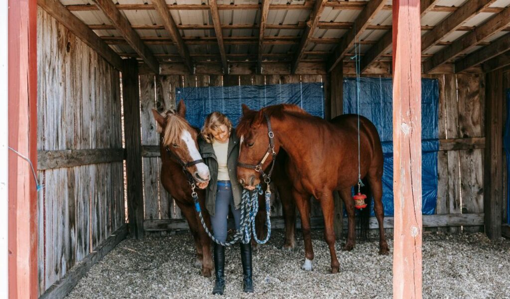 Tips to Overcome Separation Anxiety in Horses