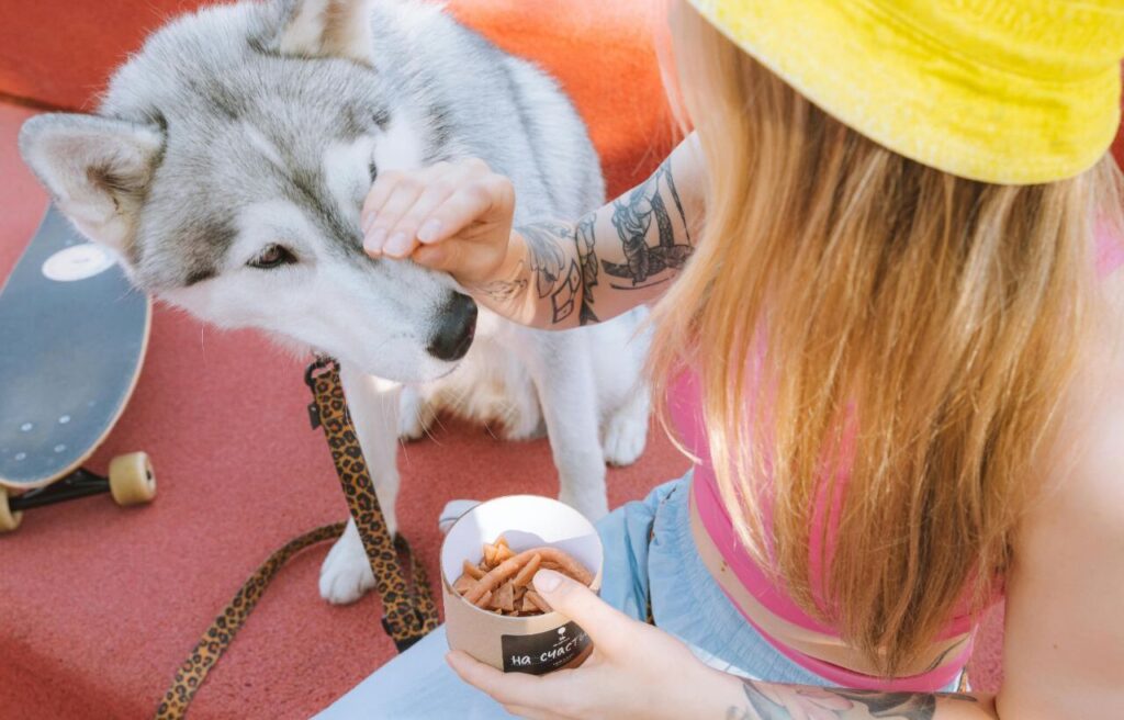 A Siberian Husky being gently petted by a tattooed woman.