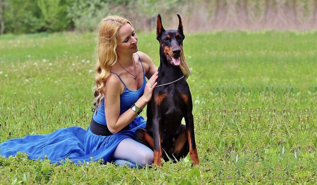 A blonde woman in a flowing blue dress lovingly sits beside a Doberman, holding its shoulder as they enjoy a peaceful moment in a lush green field.