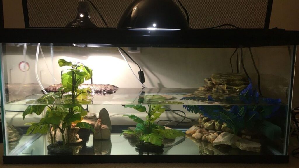An aquatic terrarium with a water-filled base, artificial plants, and decorative rocks creating a naturalistic habitat. The enclosure features a basking area illuminated by a heat lamp and a rock platform for land access. Filtration equipment and a thermometer are visible in the background, ensuring optimal conditions for the habitat's occupant.