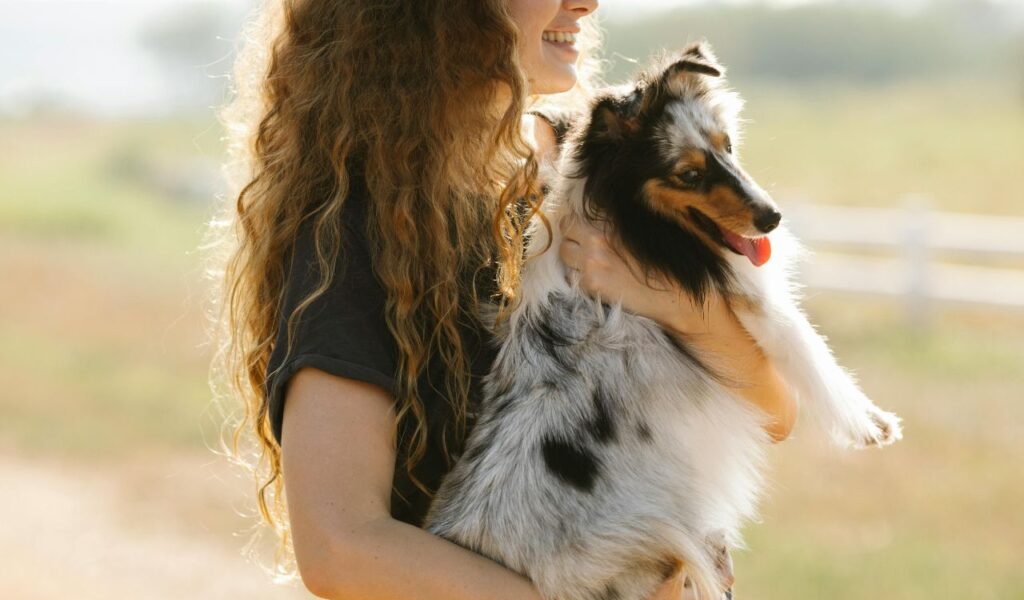 A woman with long, curly red hair holding a happy Shetland Sheepdog with a blue merle coat. The dog has its tongue out and looks content, while the background shows a sunny outdoor scene with soft focus.
