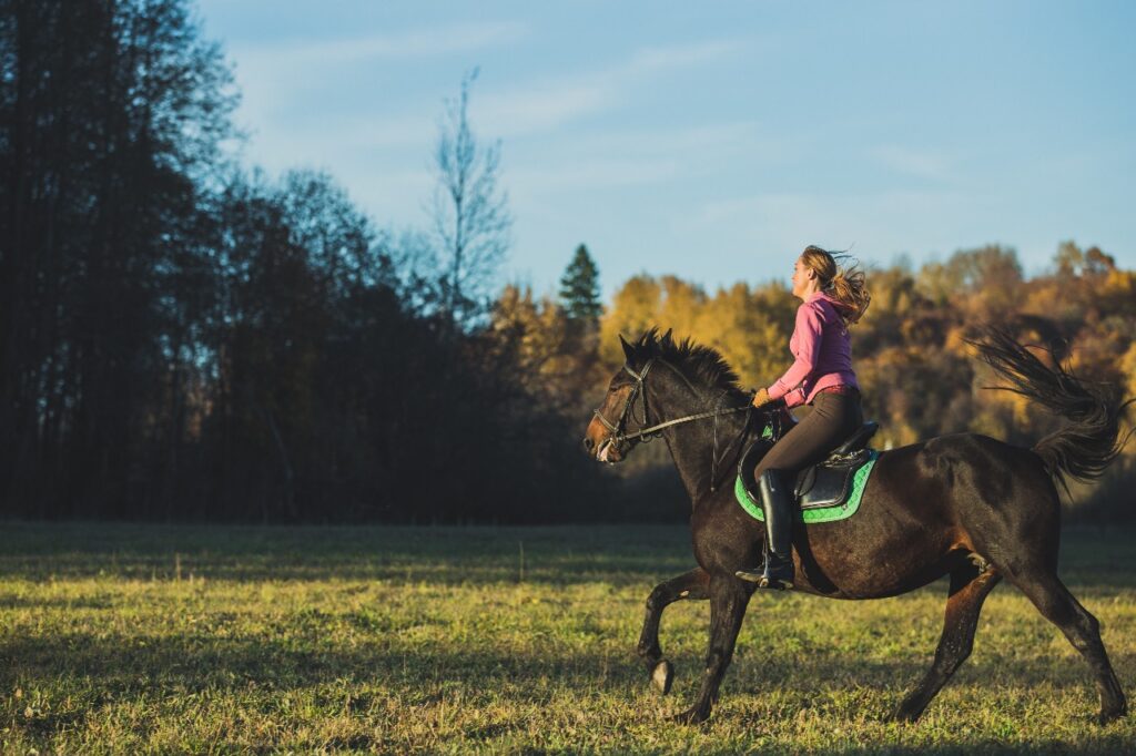 Rider Fox trotting on dark horse through grassy field