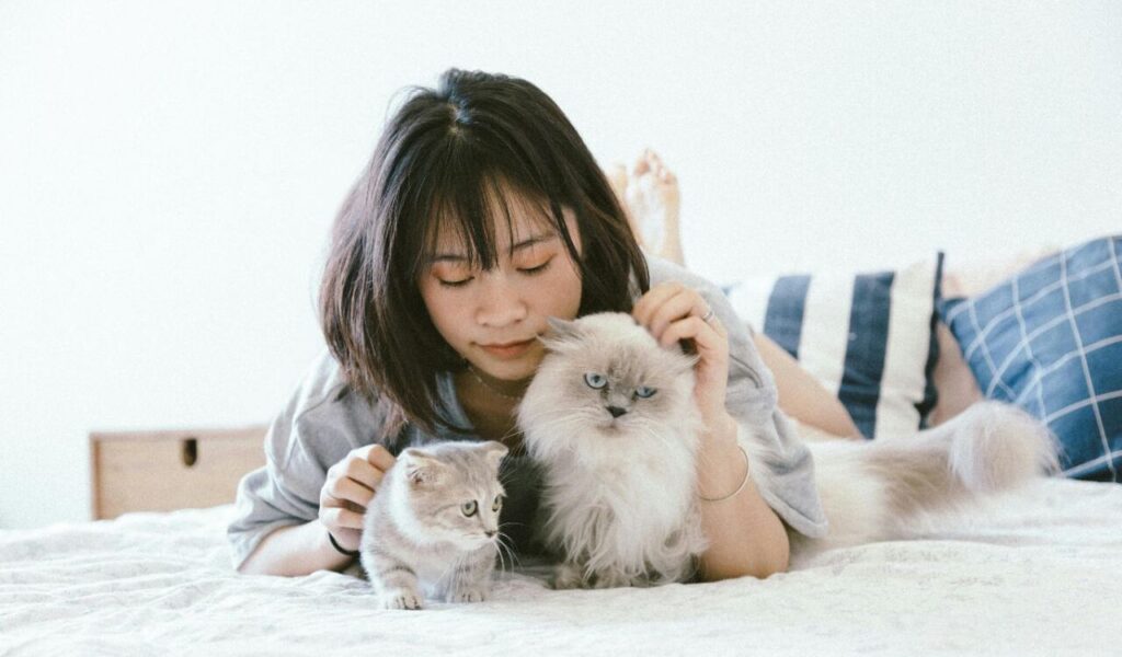 woman lying on bed with two fluffy cats