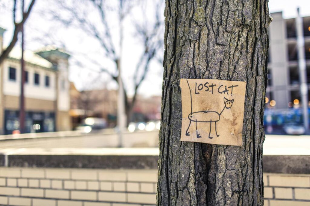 Hand-drawn lost cat poster on tree.