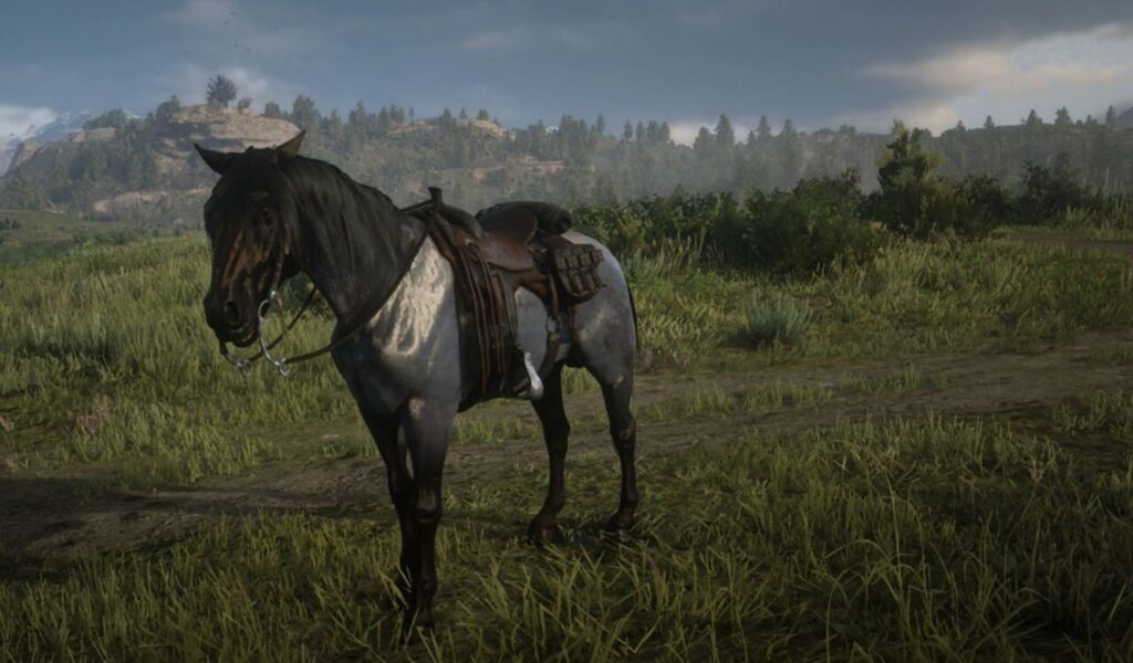 A saddled horse standing in a lush grassy field with hills and trees in the background under a cloudy sky.
