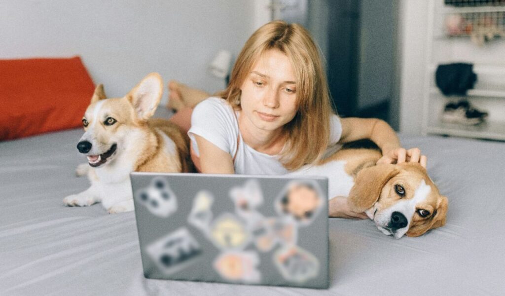 A woman on a bed with a laptop, flanked by two dogs—one cheerful and one resting.