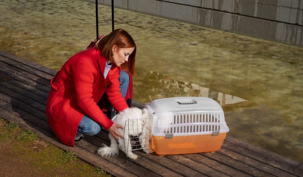 woman with a pet carrier outdoors