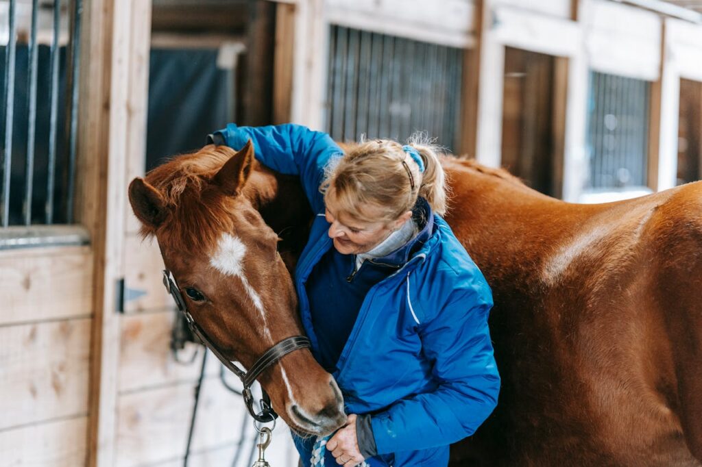 A woman in a blue jacket affectionately grooming a chestnut horse
