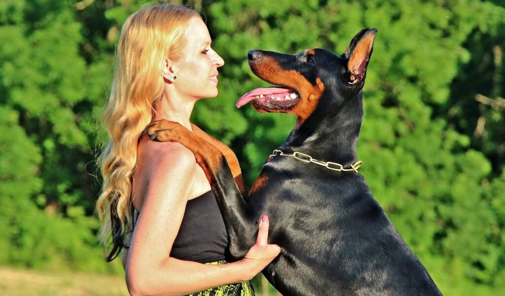 A Doberman stands on its hind legs, placing its front paws on the shoulders of a blonde woman, who gazes affectionately at the dog, set against a vibrant green outdoor background.