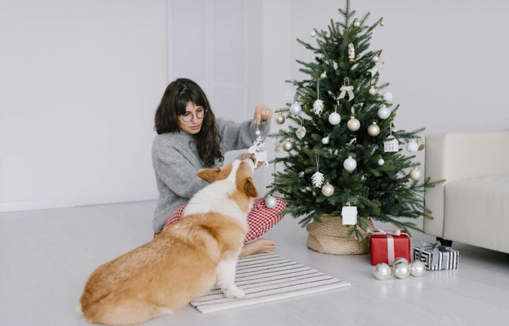 Woman decorating a Christmas tree with a Corgi dog.