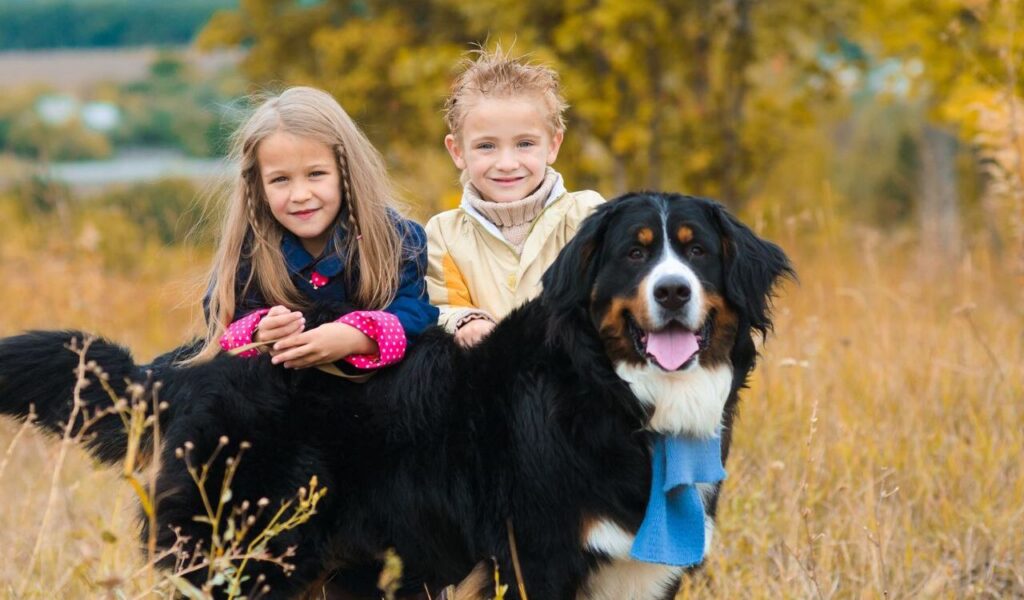 Two children with a Bernese Mountain Dog outdoors.