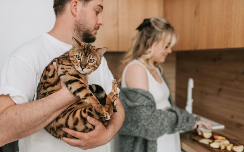 Man holding a Bengal cat in a kitchen.