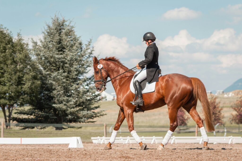 A rider in formal dressage attire guiding a horse
