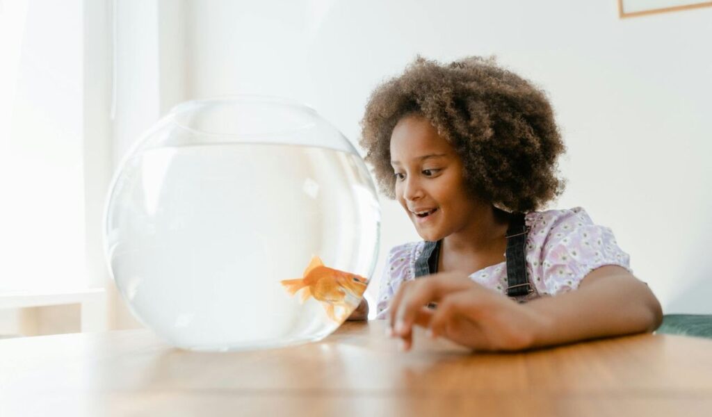 Child admiring a goldfish in a bowl.