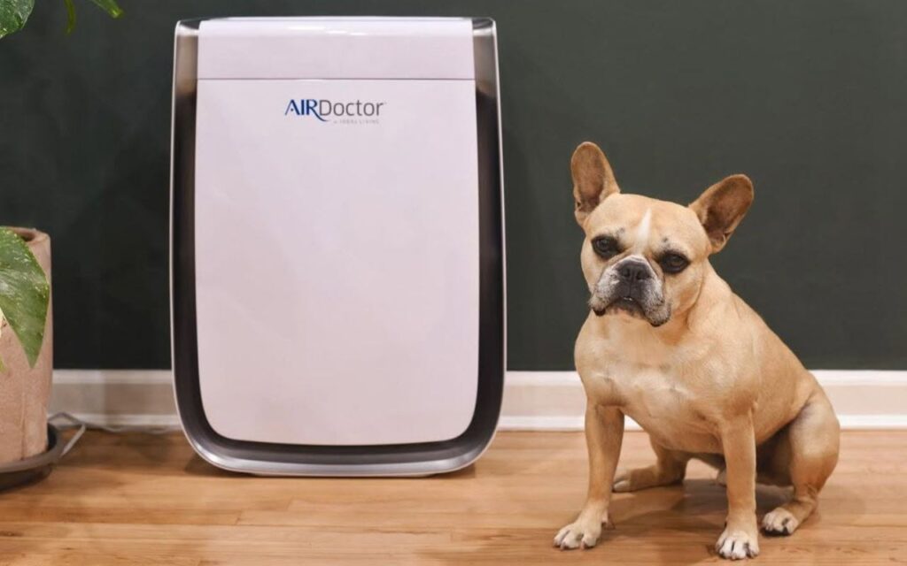 French Bulldog sitting next to an air purifier.