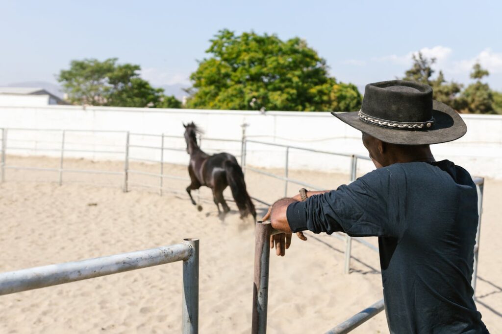 A man in a cowboy hat observing a black horse