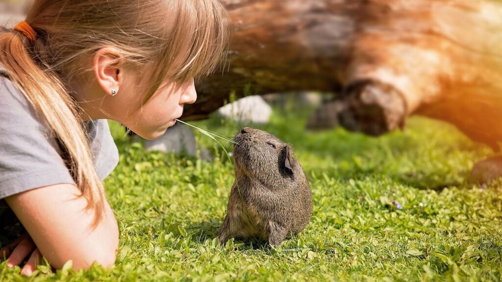 A young girl lying on the grass, playfully feeding a small brown guinea pig with a blade of grass held between her lips, with a log and warm sunlight in the background.