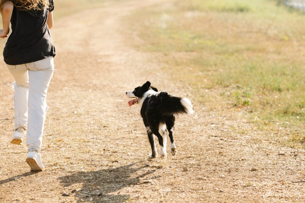 Woman jogging on a dirt path with a black and white border collie