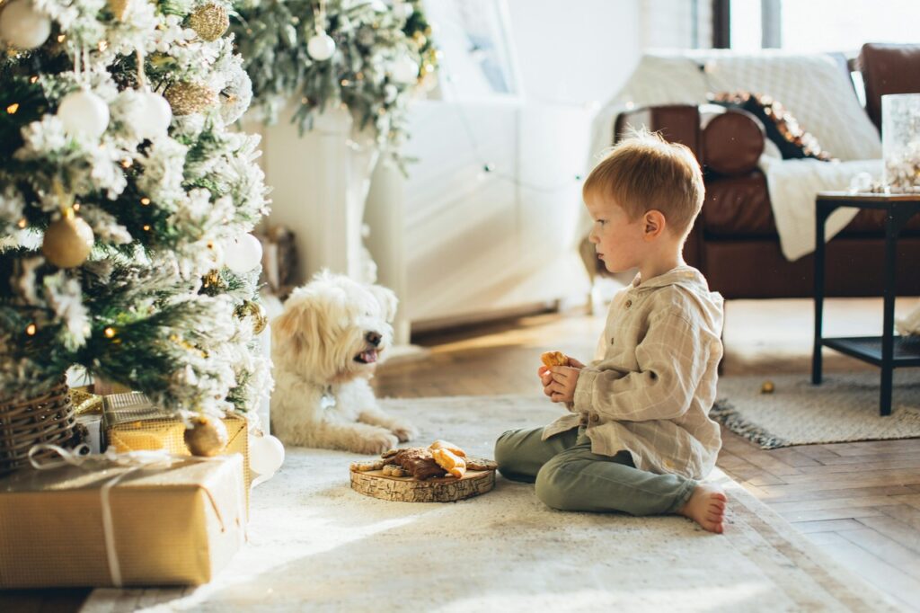  Bichon Frise with kid