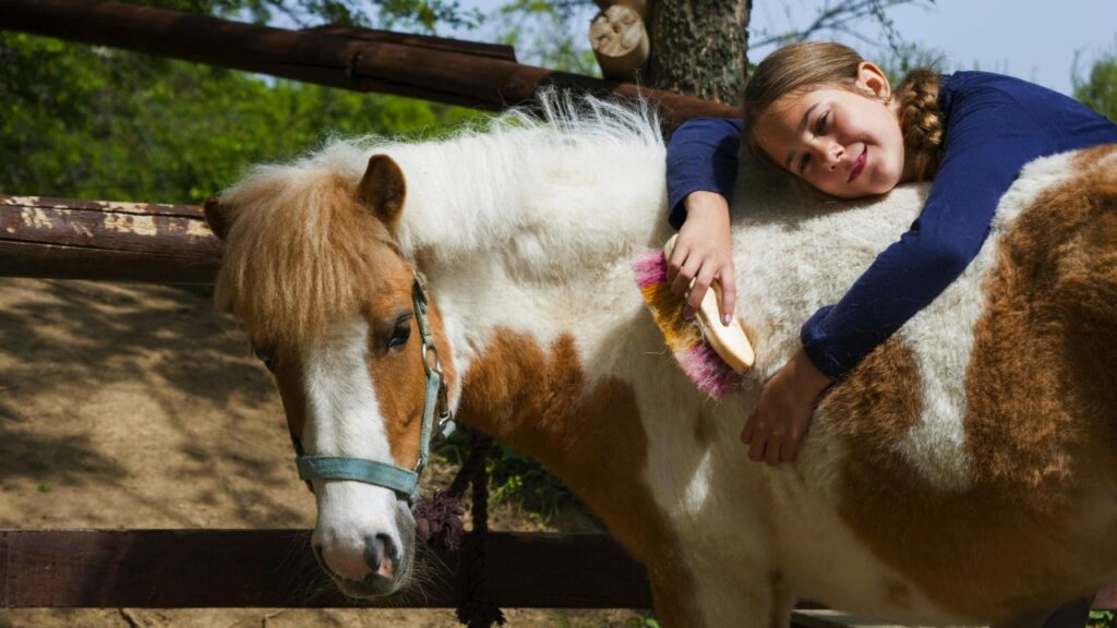 horse and kid