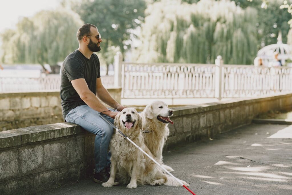 A man with golden retrievers sitting