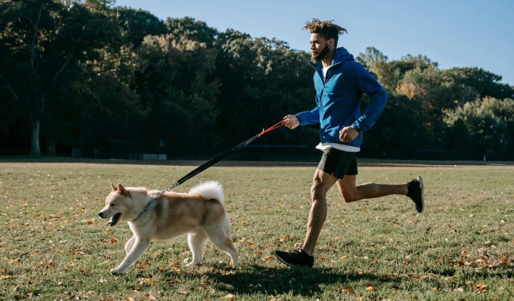 man running in a park with an Akita on a leash