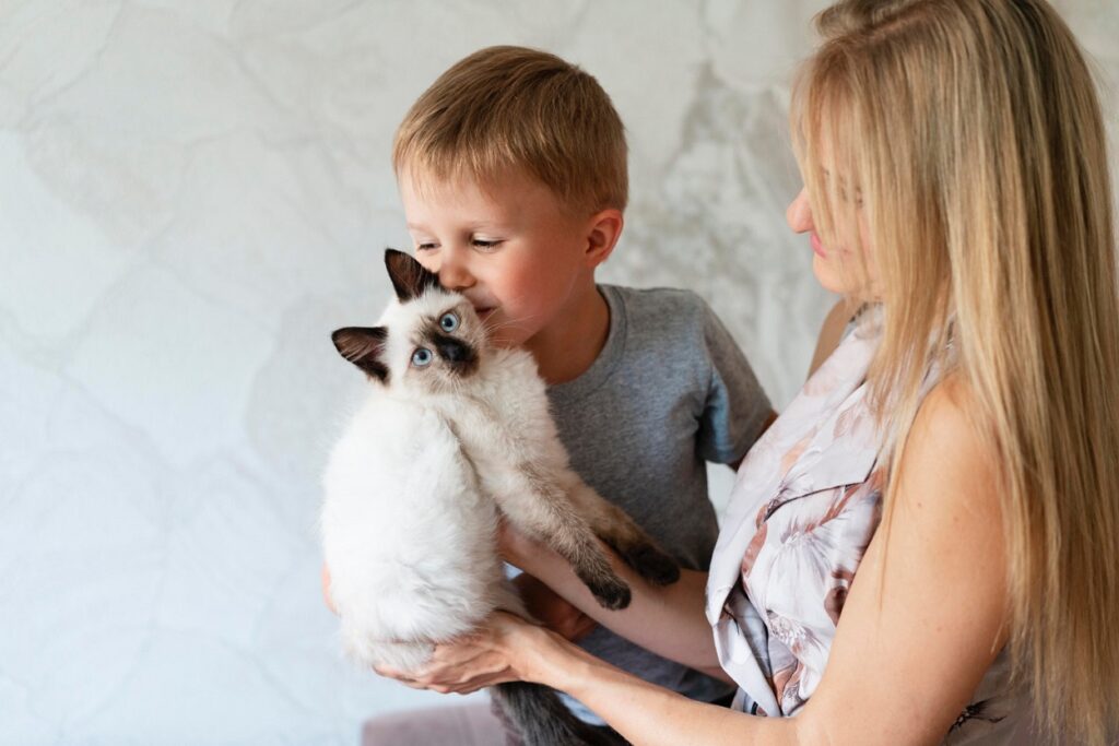 siamese cat wit kid