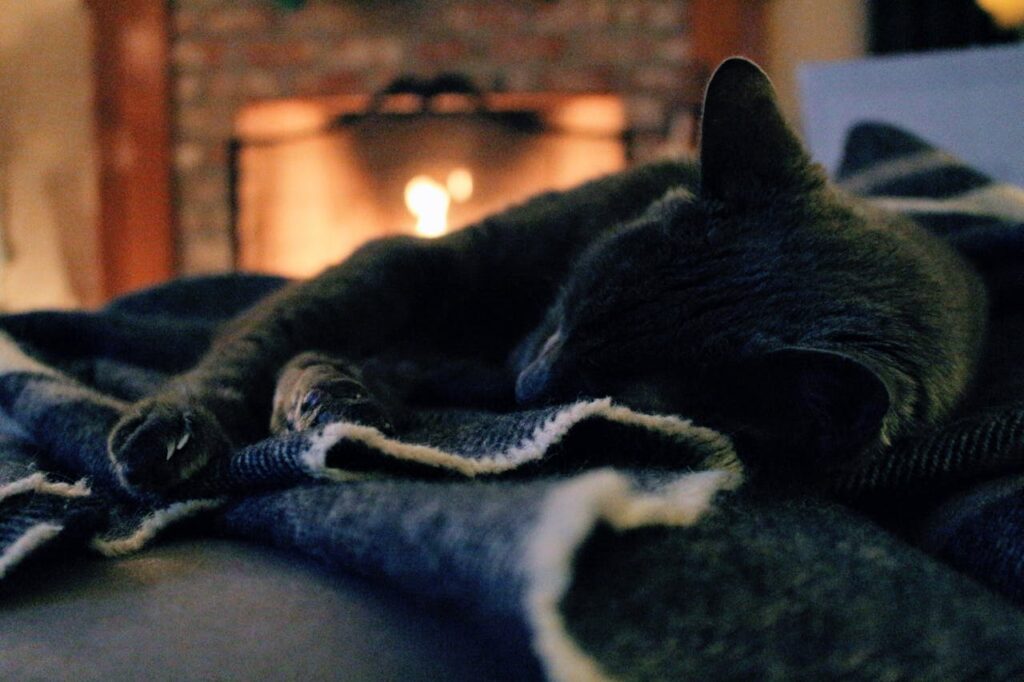 A gray cat sleeping on a blanket by a cozy fireplace