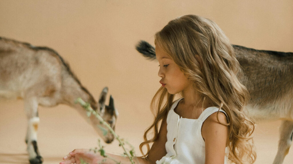 A Child with pygmy goats