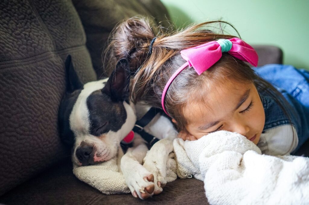 Sleeping girl and Boston Terrier snuggling