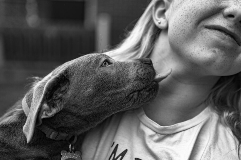 Puppy licking girl's neck affectionately