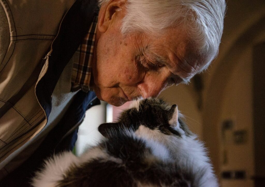 Elderly man affectionately nuzzling fluffy cat