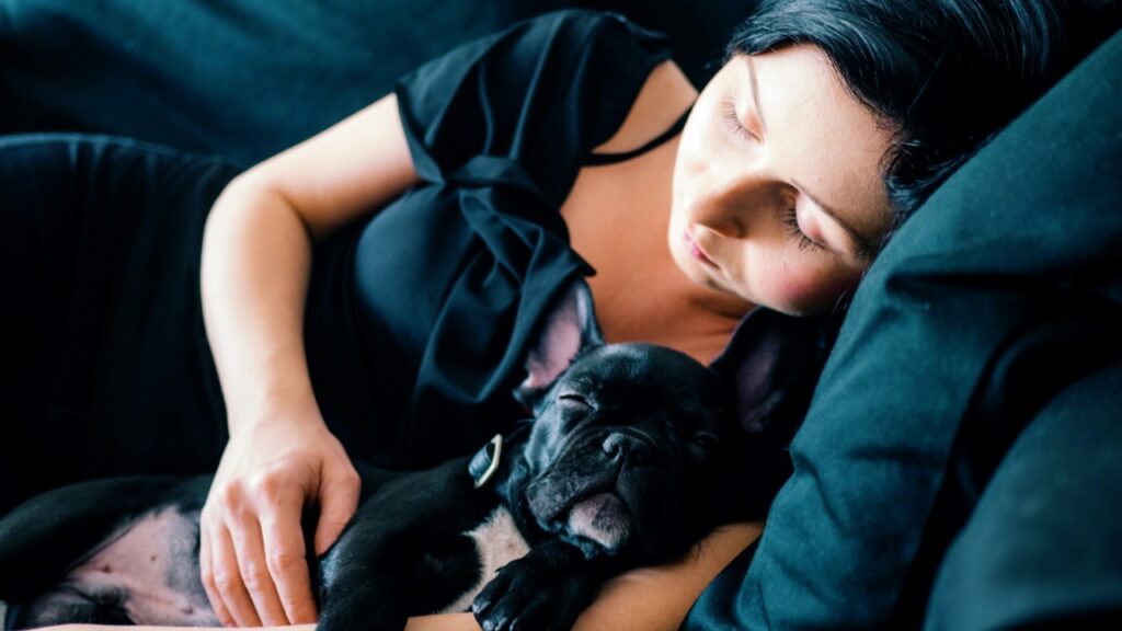 Woman sleeping on couch with black French Bulldog puppy