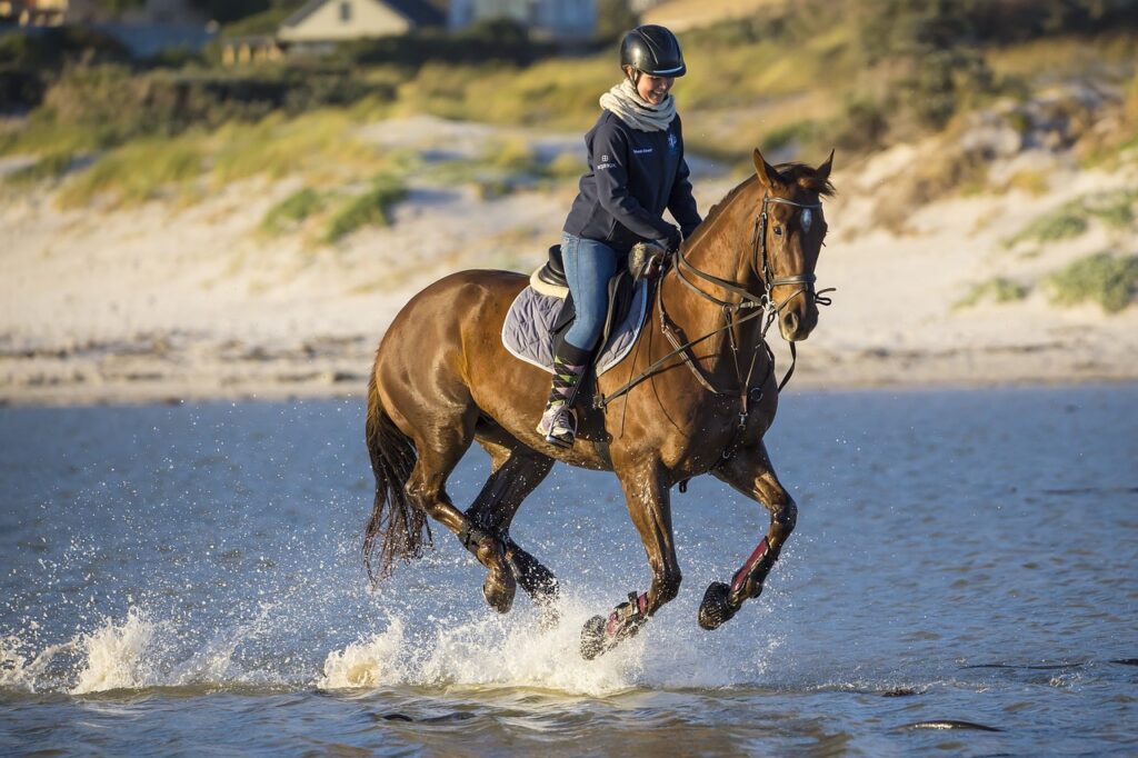 Horse riding through water
