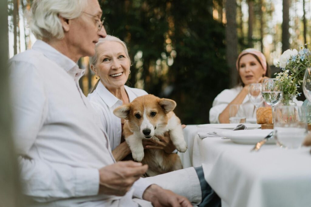 Corgi with senior