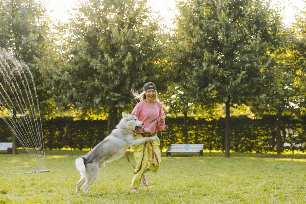 a woman playing with a Siberian husky in a green park