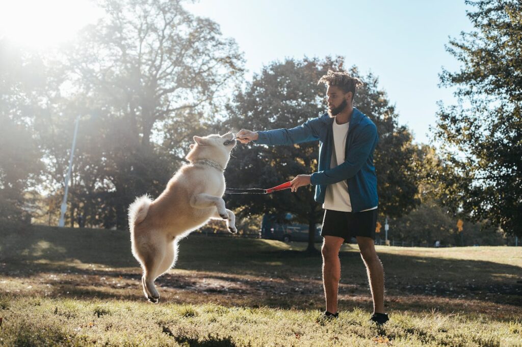 Man playing outdoors with an excited husky