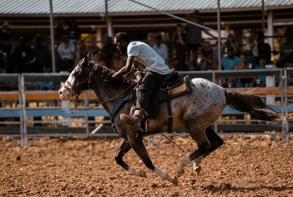 american-quarter-horse-8221859_1280