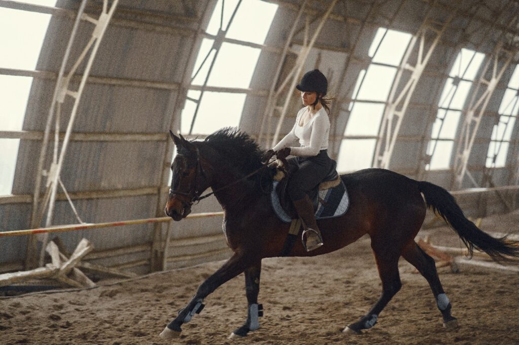 Rider cantering a dark bay horse indoors.