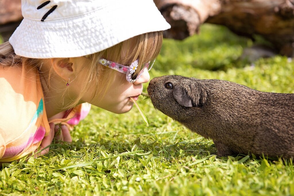 Kid with Guinea pig