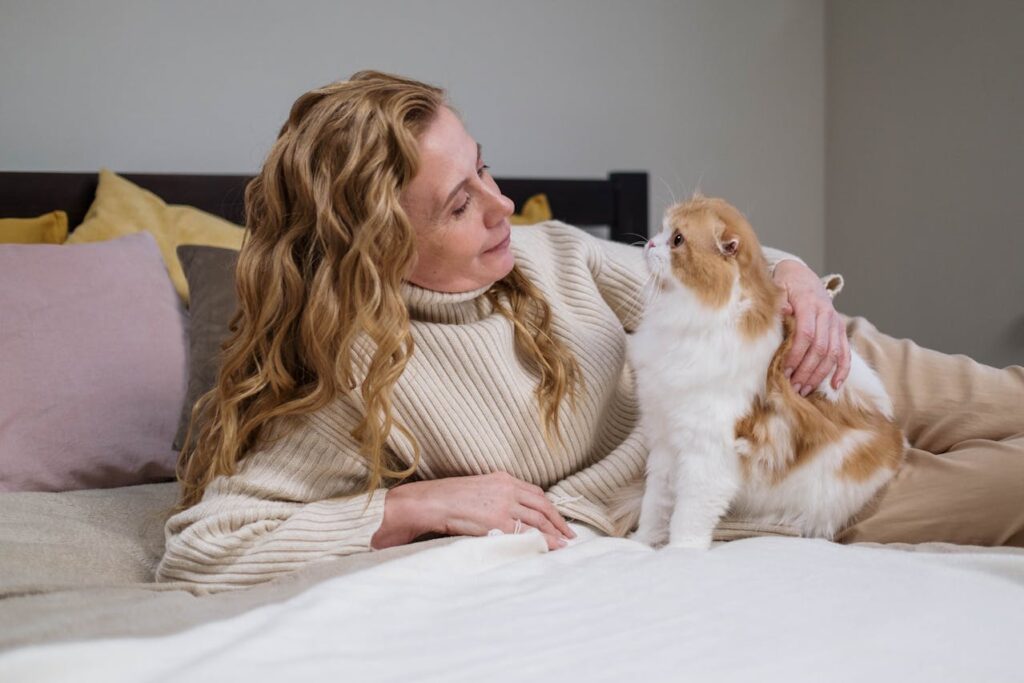 Woman petting fluffy Persian cat on bed