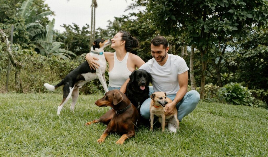 A couple with four dogs sitting on grass in a green yard.
