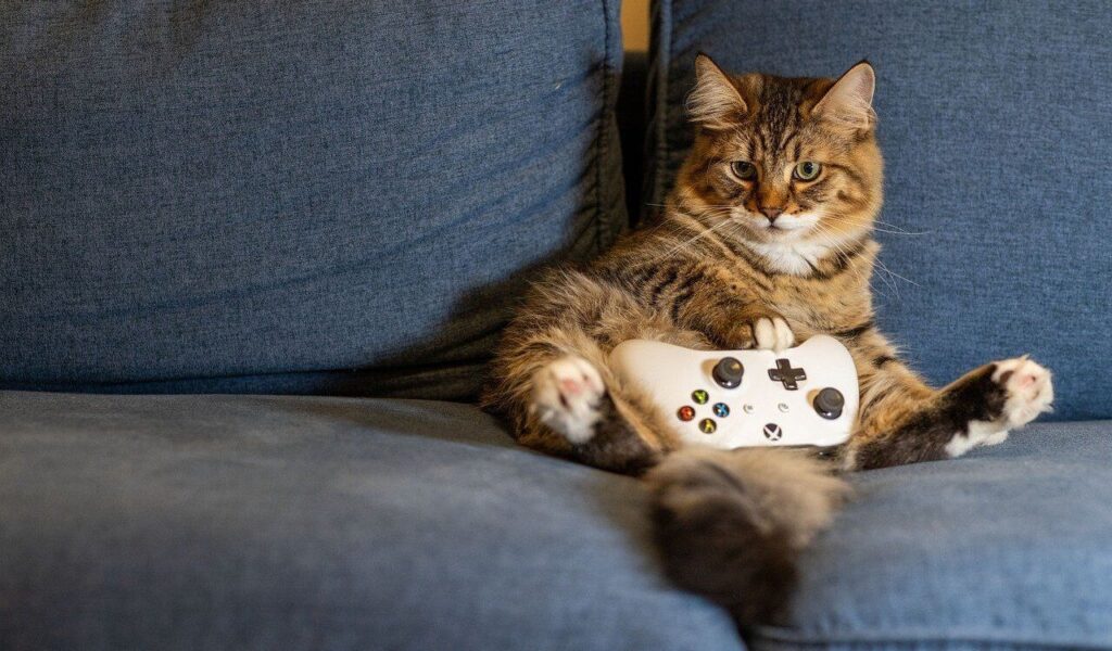 A fluffy tabby cat lounging on a blue couch, holding a white gaming controller with its front paws. The cat looks relaxed and slightly amused, as if it's ready to play a video game.
